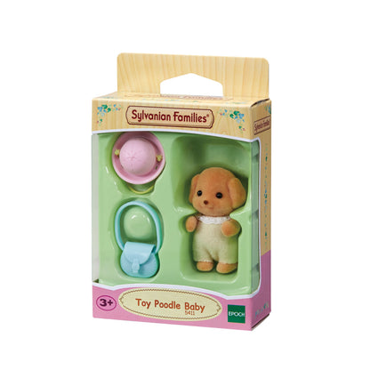 Toy Poodle Baby