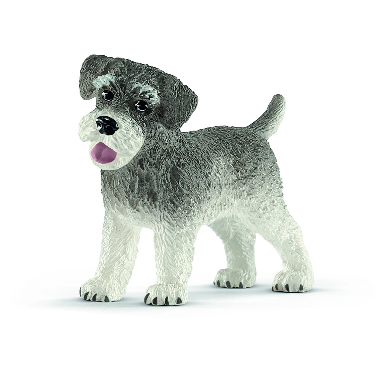 Schnauzer