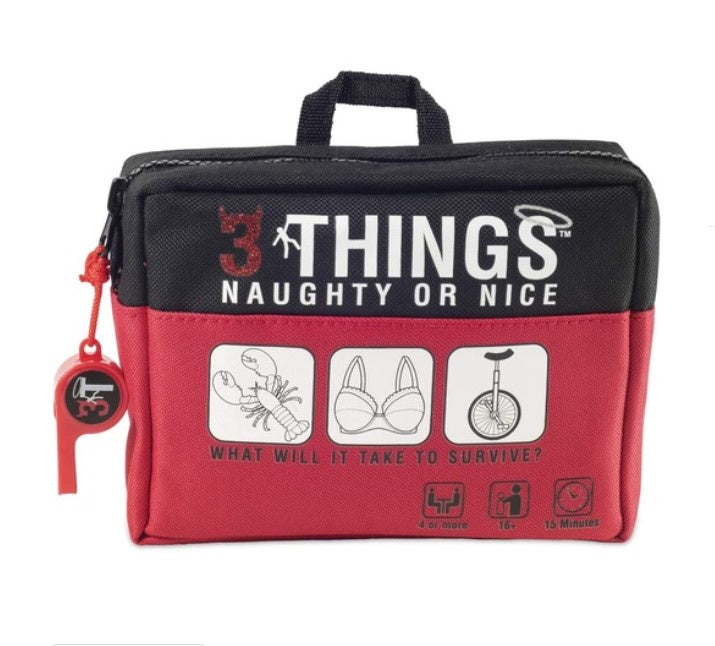 3 Things Naughty or Nice