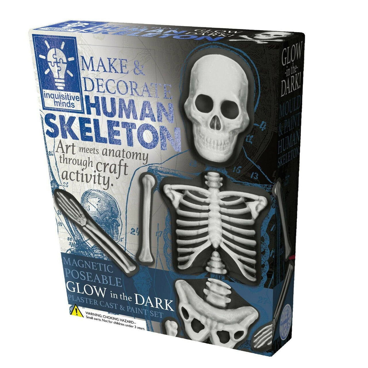 Make & Decorate - Human Skeleton