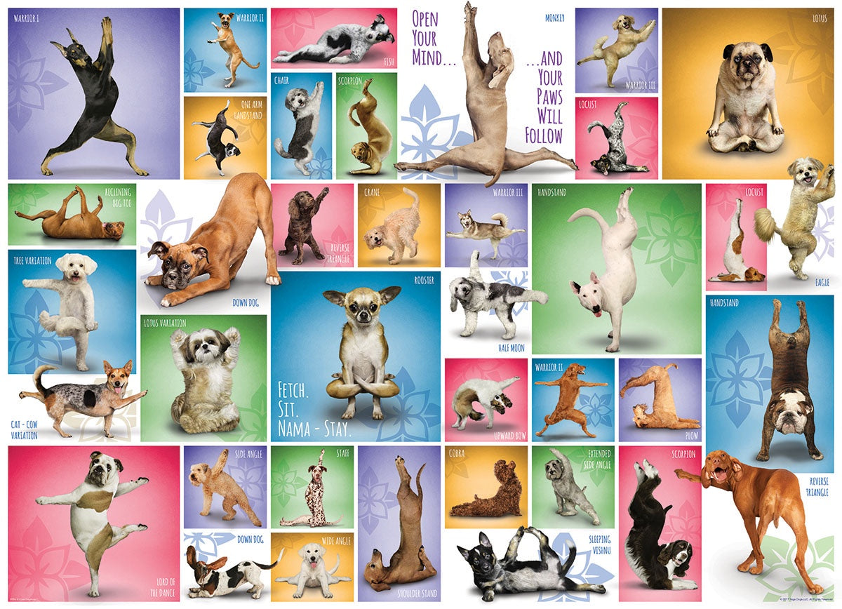 1000pc Puzzle - Yoga Dogs