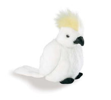 Birds with Sound - Sulphur-Crested Cockatoo