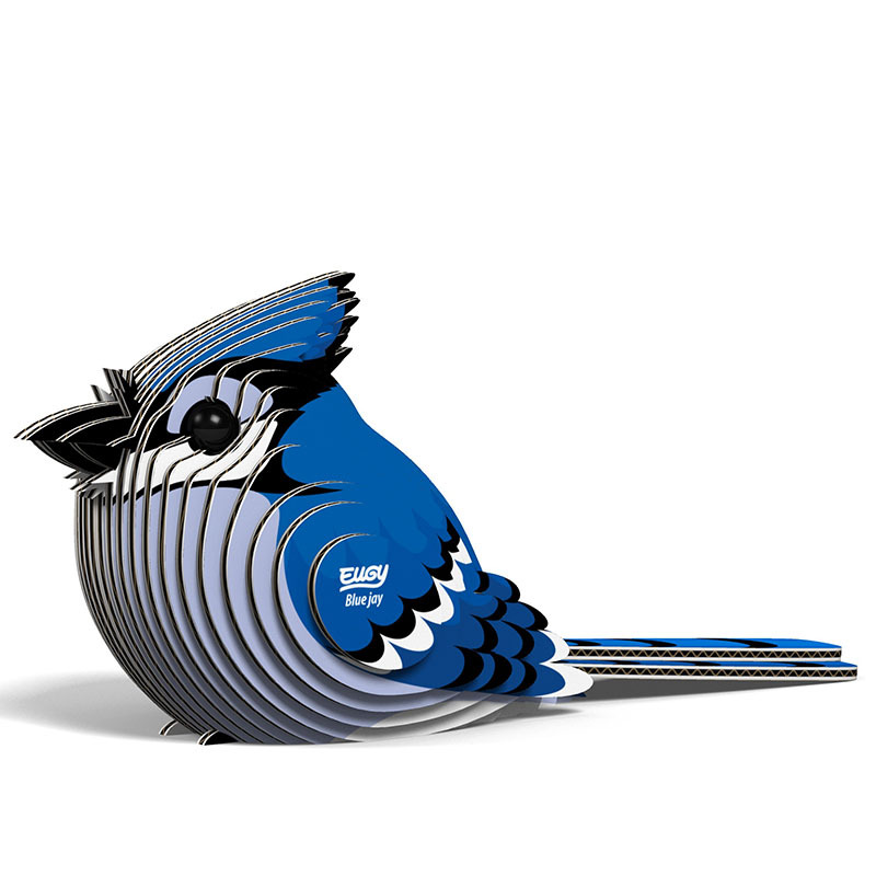 3D Cardboard Model Kit - Blue Jay