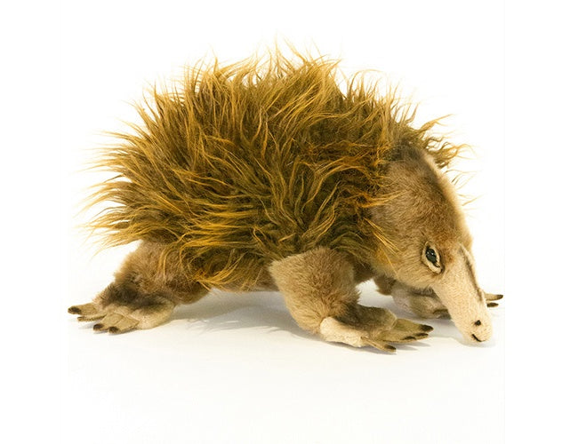 Echidna Plush - Harry