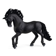 Pura Raza Espanola Stallion