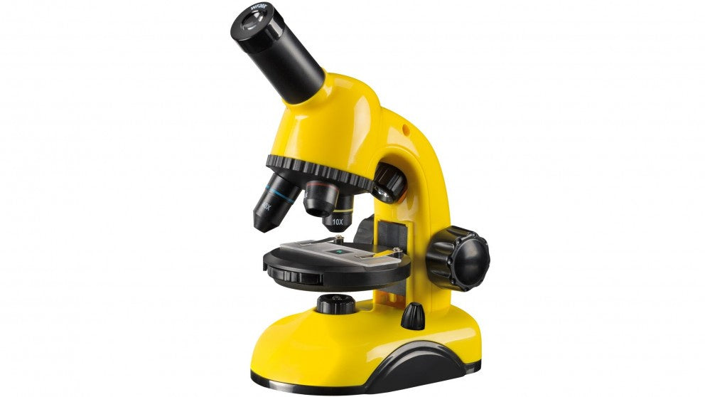 Microscope (40x-800x)