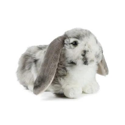 Grey Dutch Lop Ear Rabbit 30cm