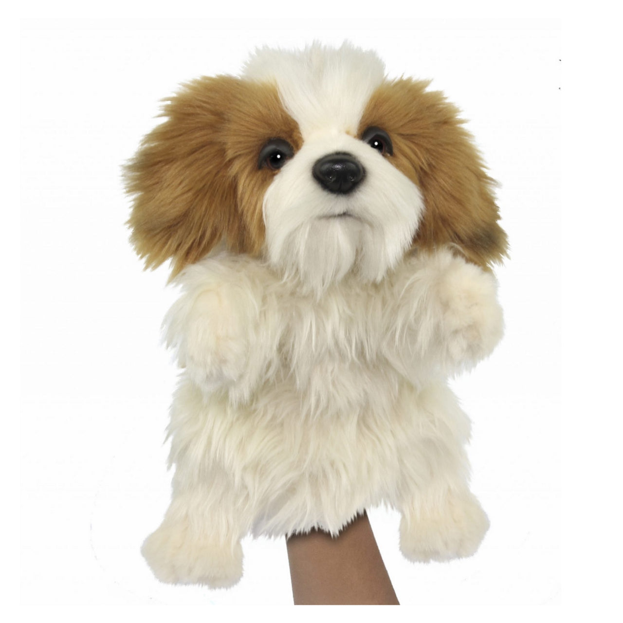 Hansa Shih Tzu - 37cm