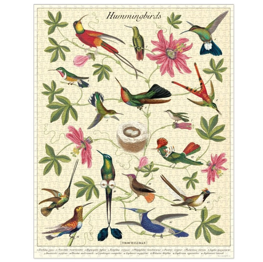 1000 pc Vintage Puzzle - Hummingbirds