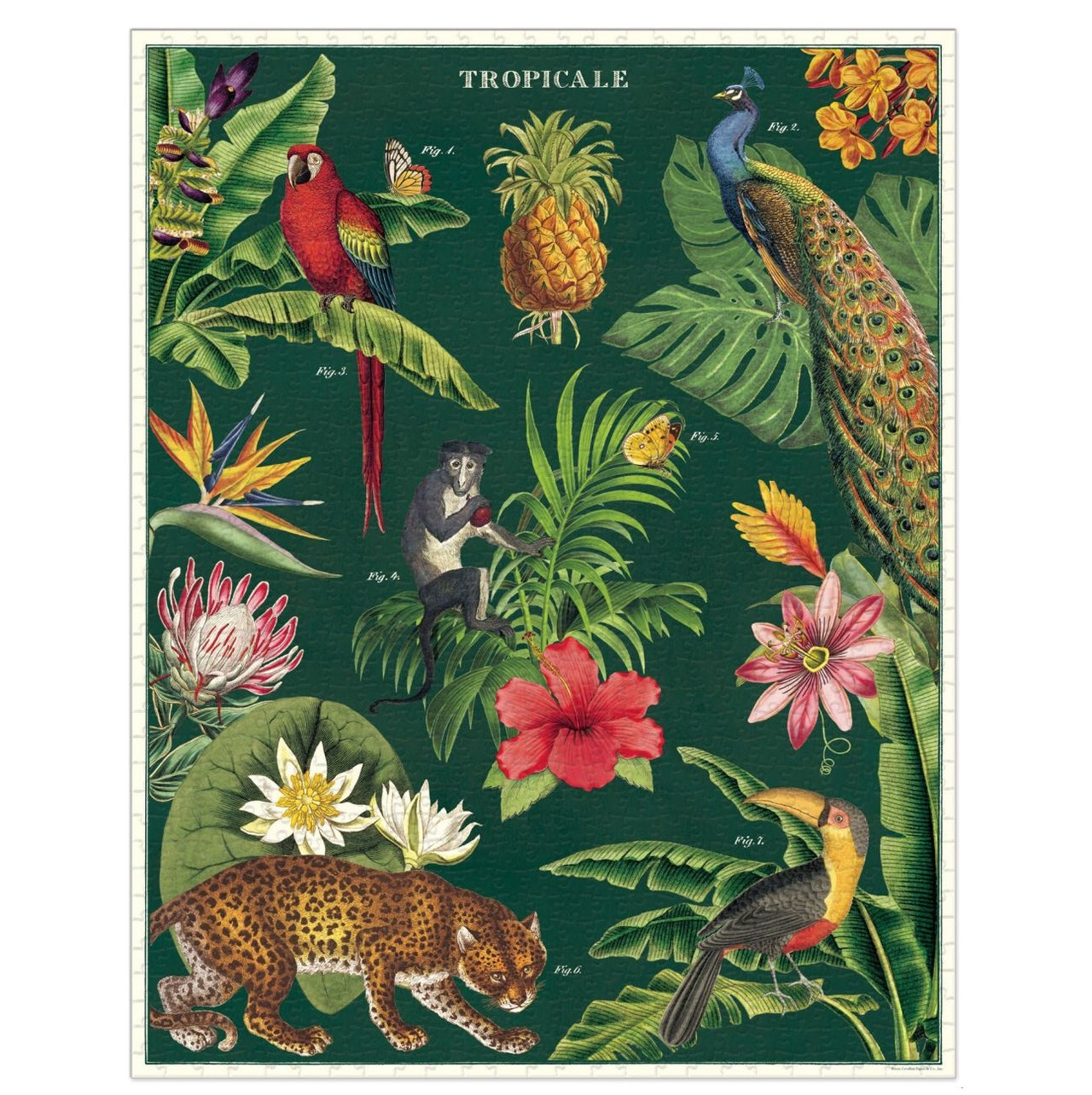 1000 pc Vintage Puzzle - Tropicale