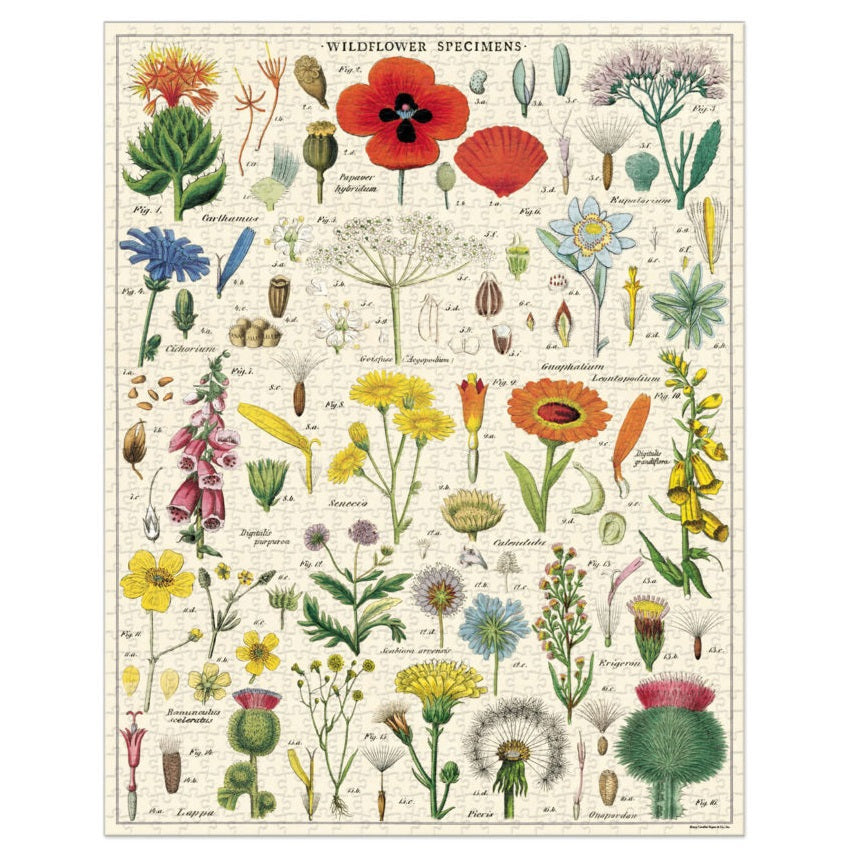1000 pc Vintage Puzzle - Wildflowers