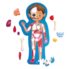Human Body Puzzle Hape