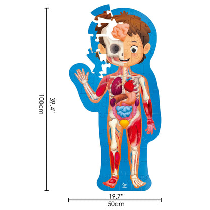 Human Body Puzzle Hape