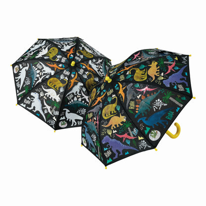 Colour Changing Umbrella