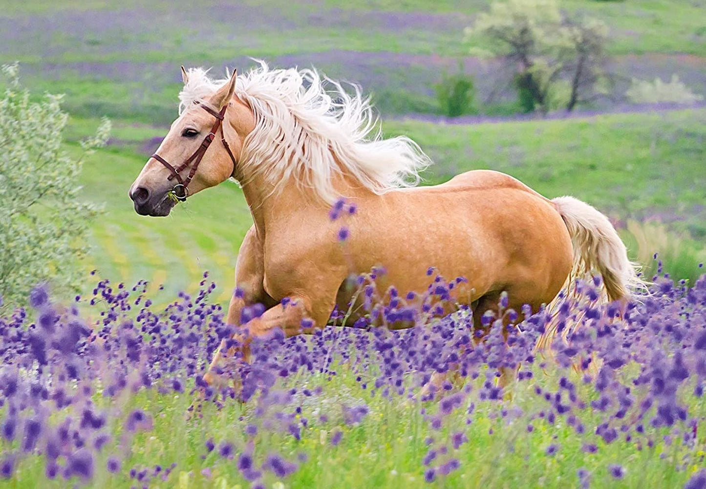 2 x 24 pc Puzzle - Horse Friends