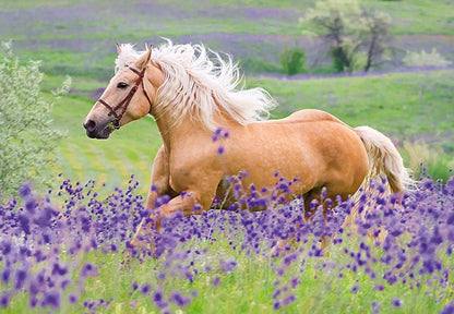 2 x 24 pc Puzzle - Horse Friends