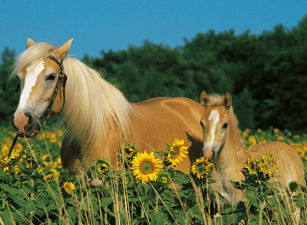 200 pc Puzzle - Horse Happiness