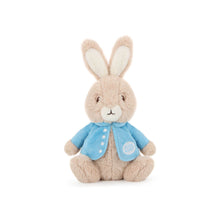 Peter Rabbit Plush (23cm)
