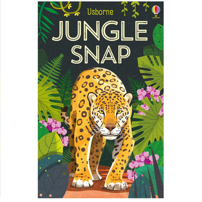 Snap Cards