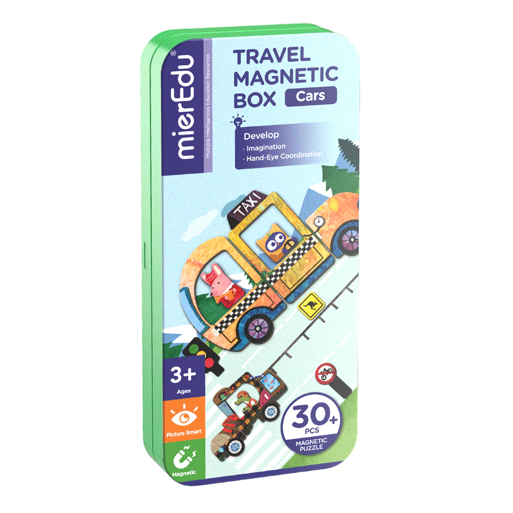 Travel Magnetic Box - assorted