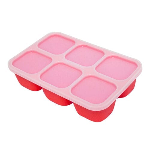 Food Cube Tray
