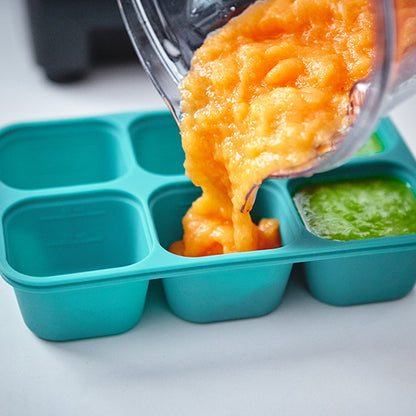 Food Cube Tray