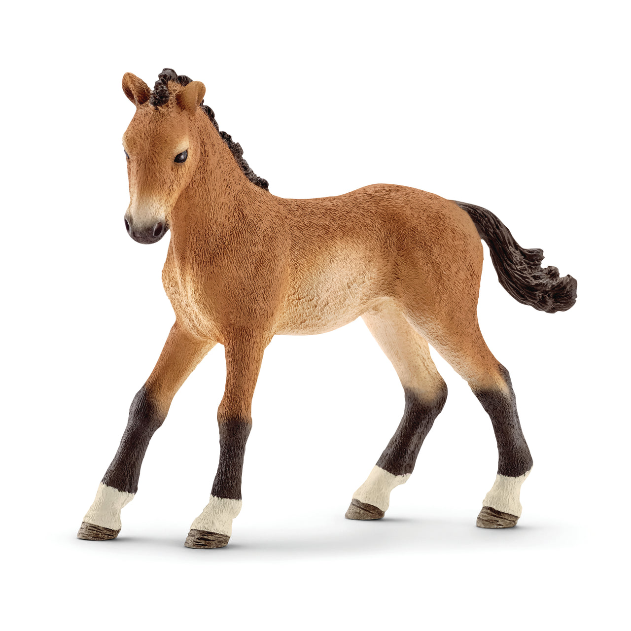 Tennessee Walker Foal