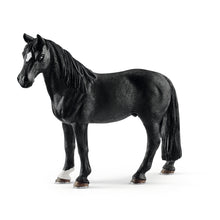 Tennessee Walker Gelding