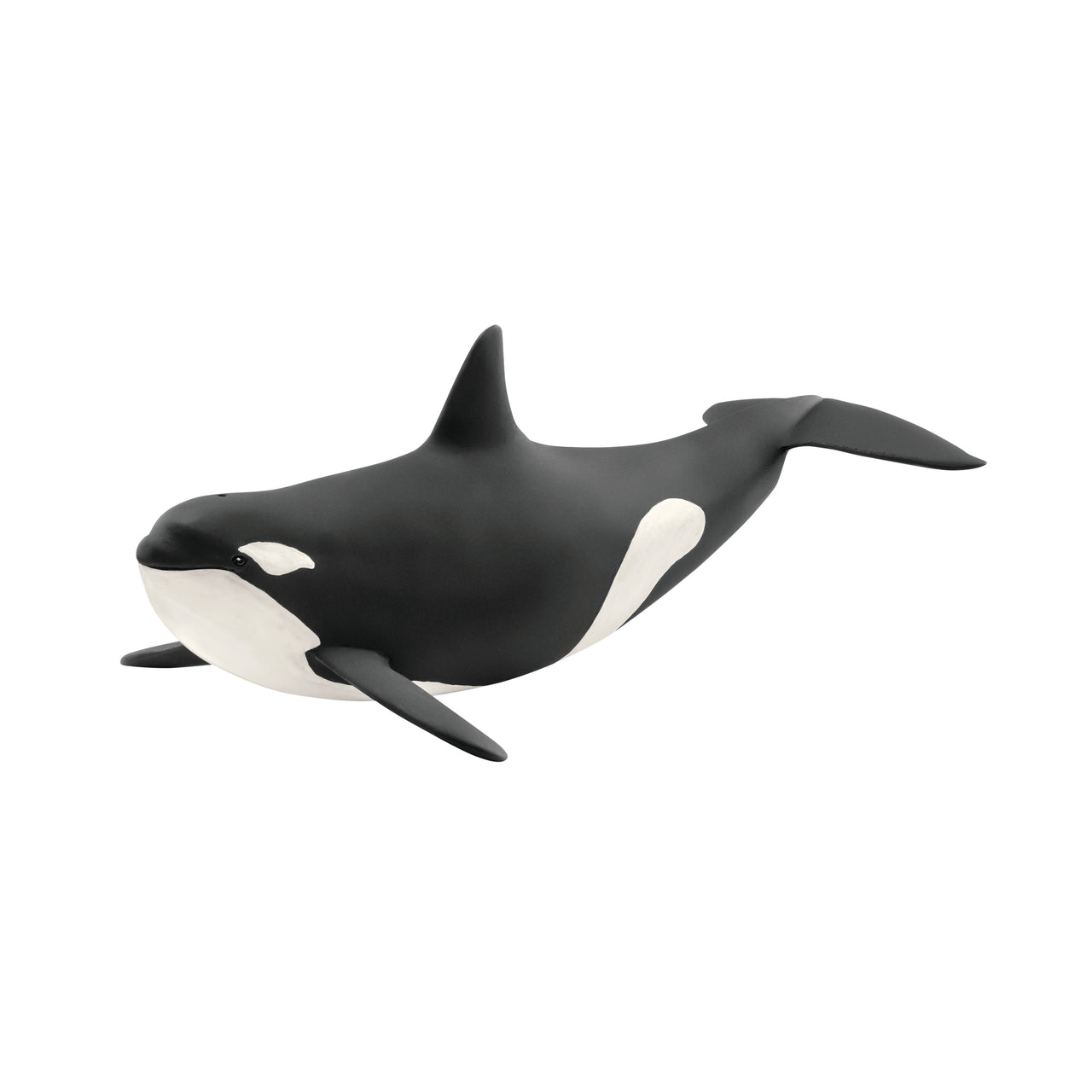 Killer Whale