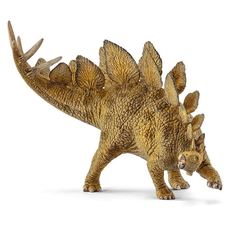 Stegosaurus