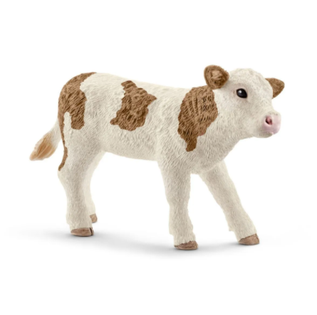 Simmental Calf