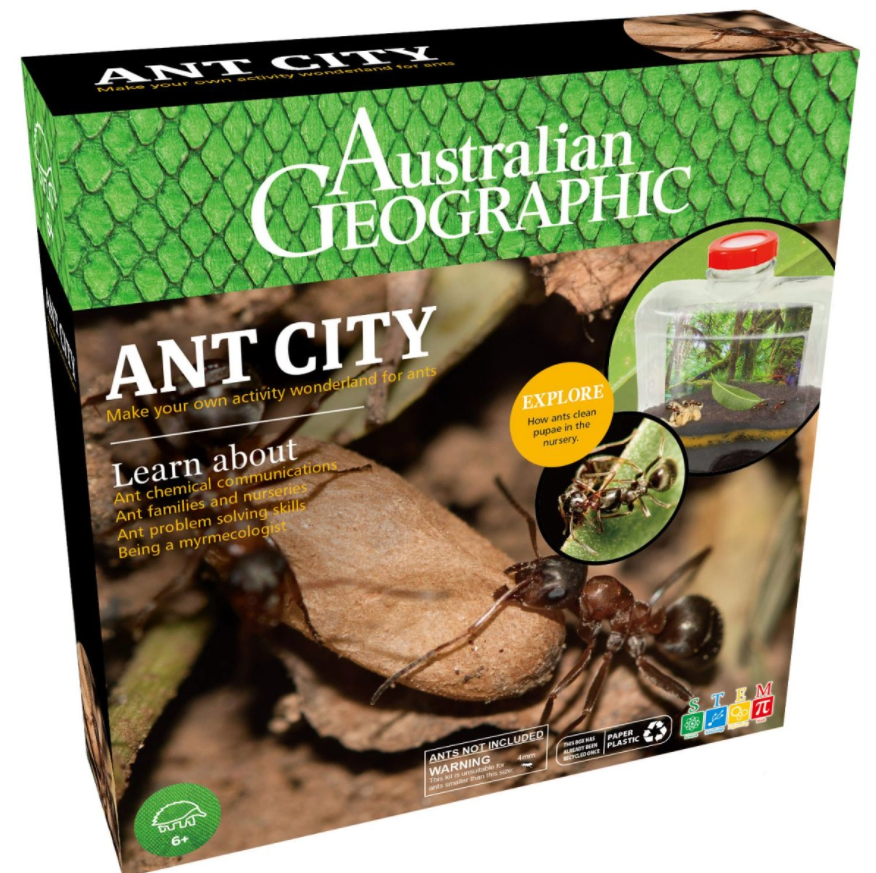 Ant City