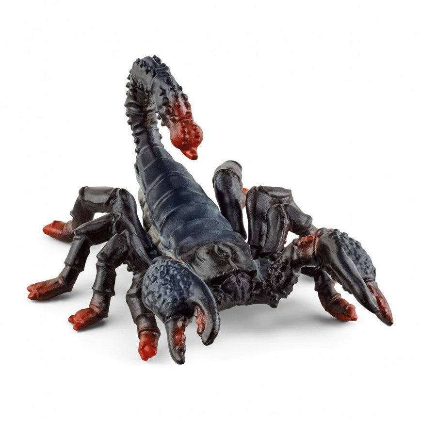 Emperor Scorpion