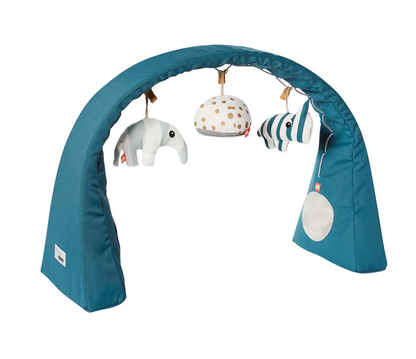 Activity Gym Free Standing