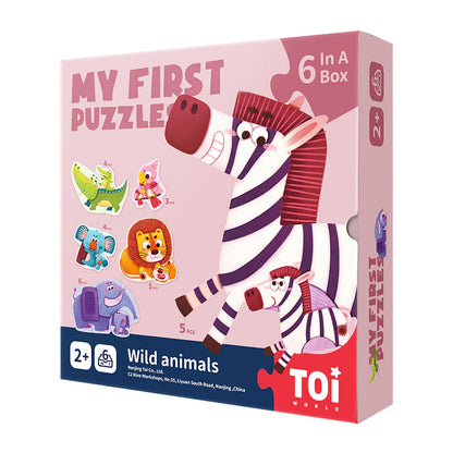 My First Puzzles  -  6 In A Box