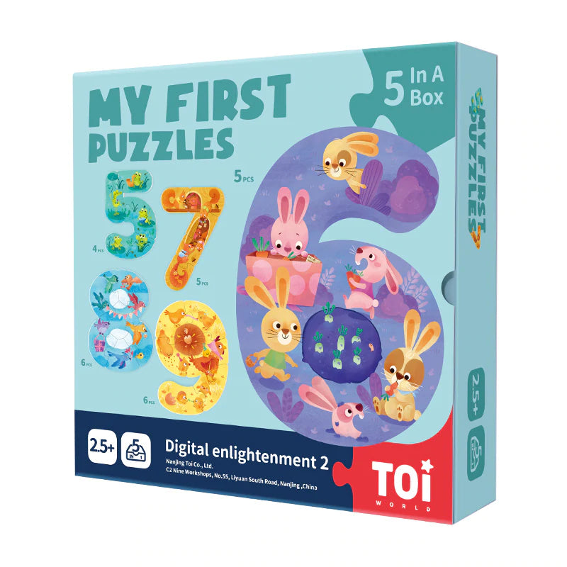 My First Puzzles  -  5 In A Box