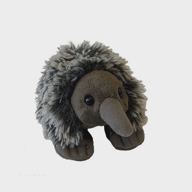 Pocketkins - Mini Echidna