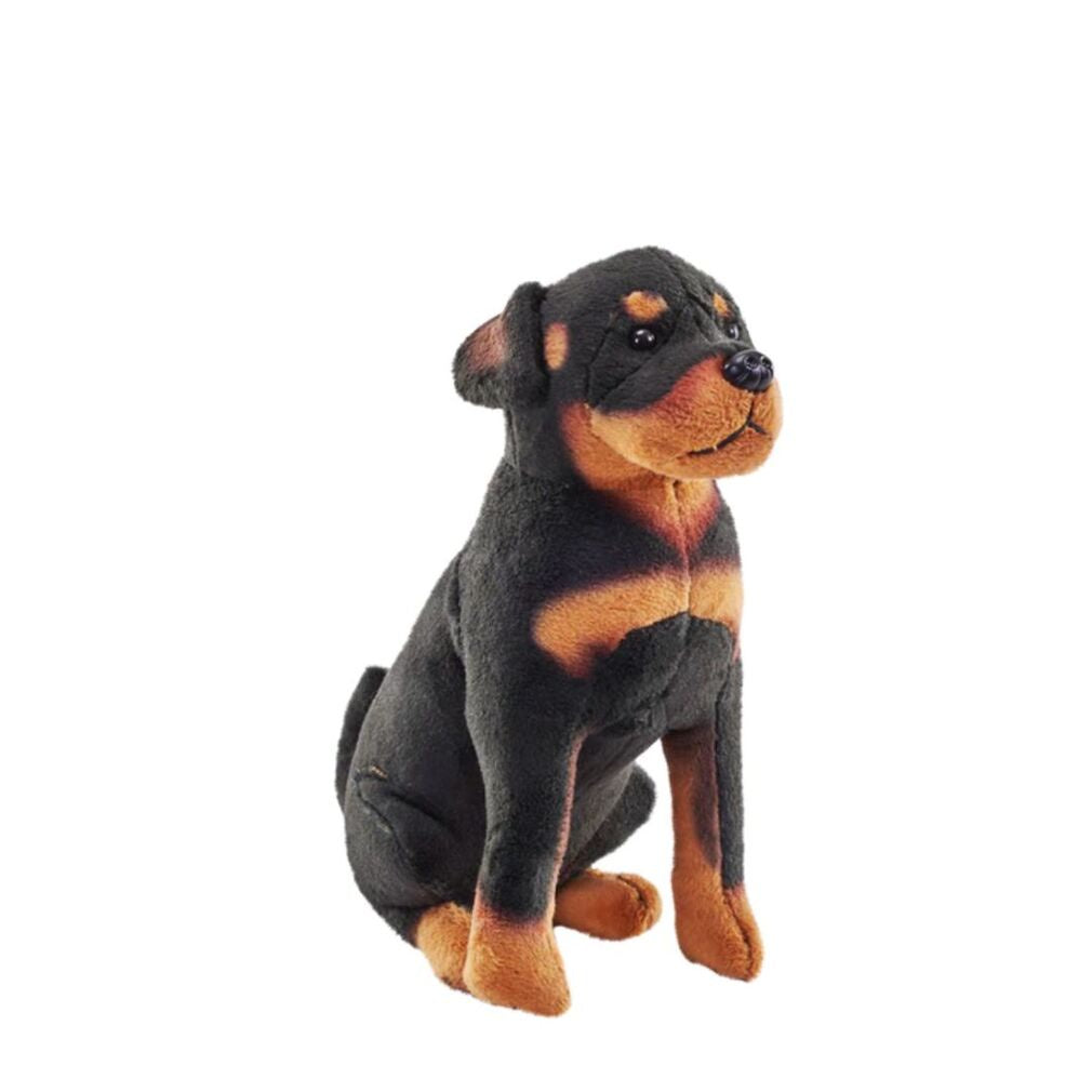 Rescue Dogs Rottweiler With Sound