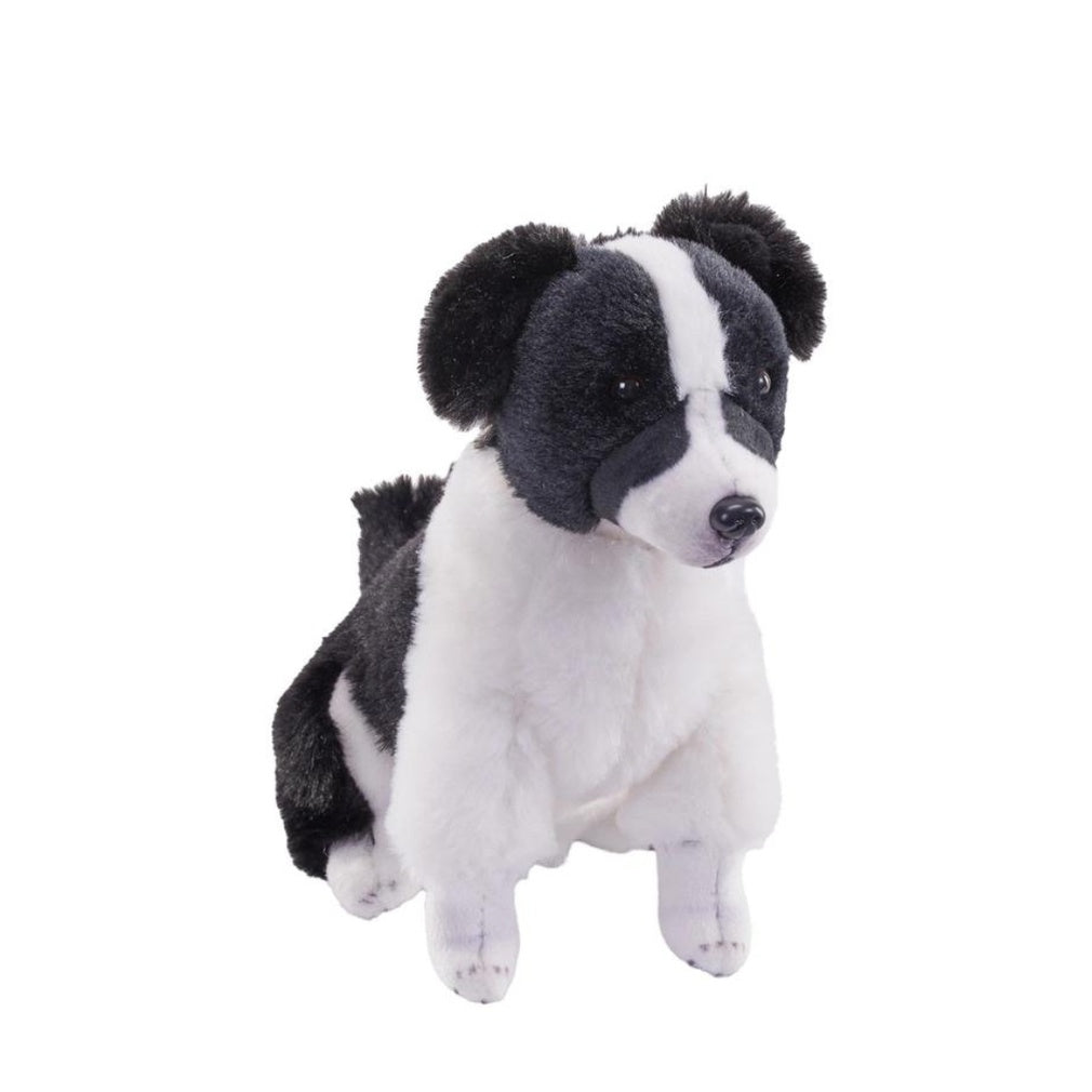 Rescue Dogs Border Collie With Sound