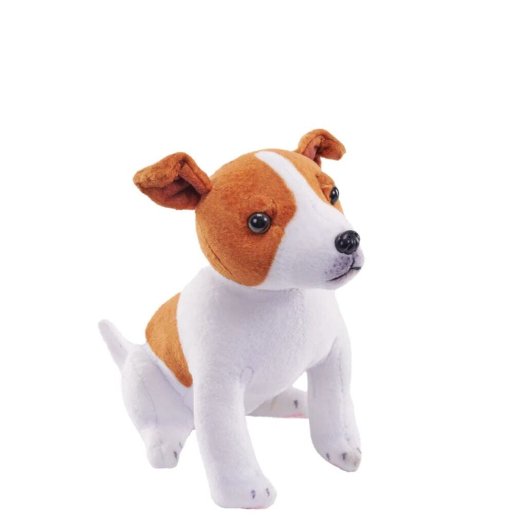 Rescue Dogs Jack Russell With Sound