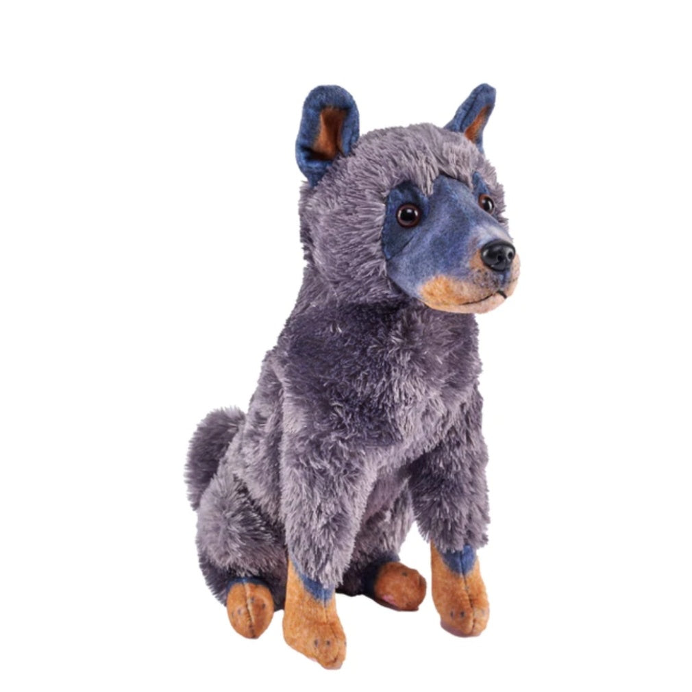 Rescue Dogs Cattle Dog With sound