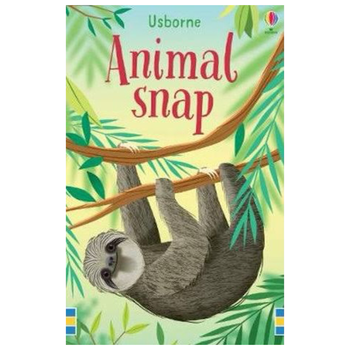 Snap Cards