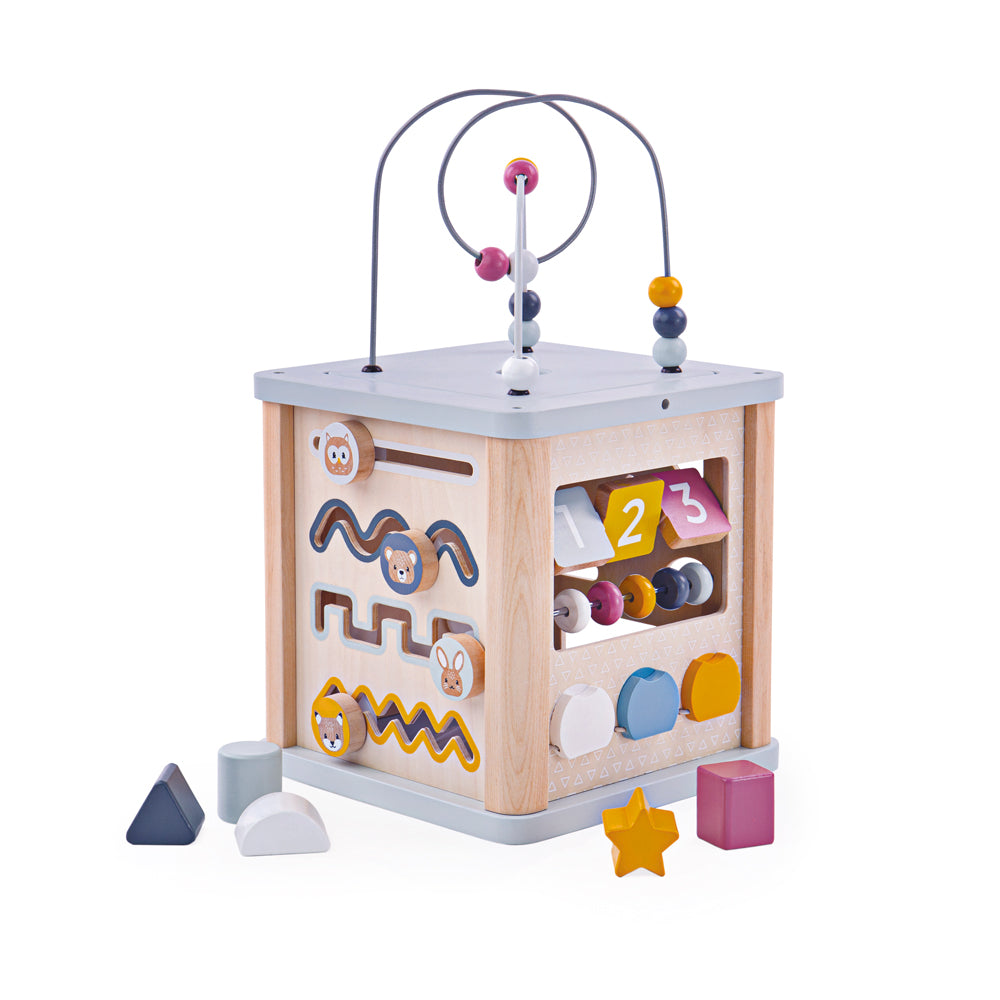 FSC Activity Cube