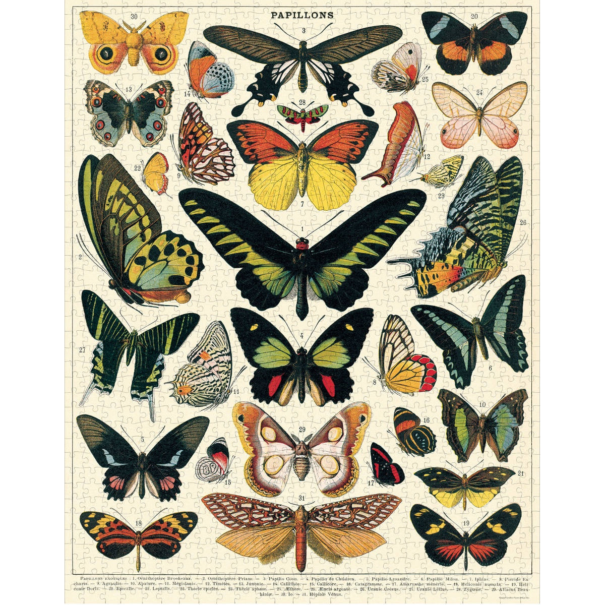 1000 pc Vintage Puzzle - Butterflies