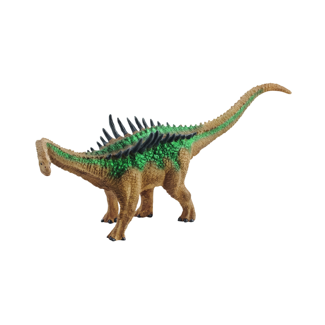 Agustinia Dinosaur