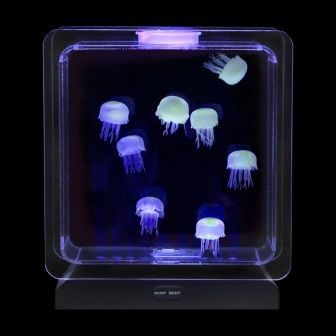 Illuminated Aquarium Lamp
