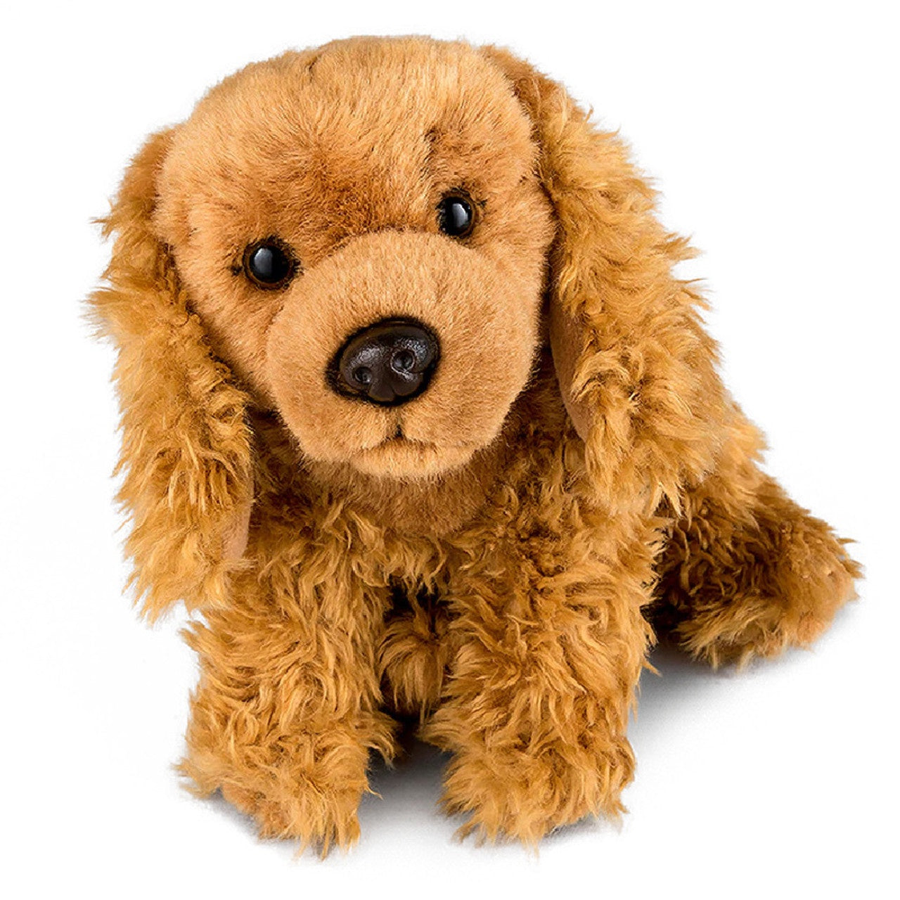 Cocker Spaniel