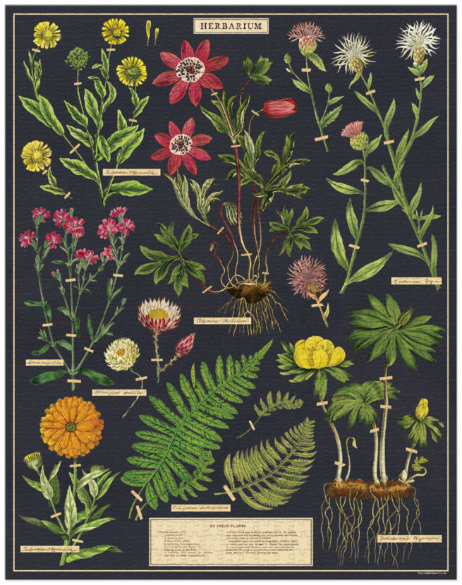 1000 pc Vintage Puzzle - Herbarium
