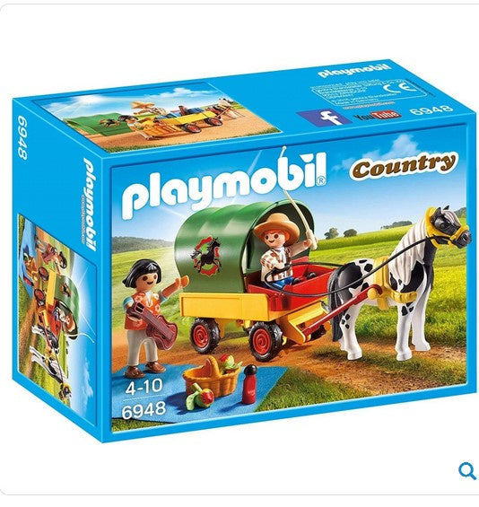 Country- Picnic with Pony Wagon 6948