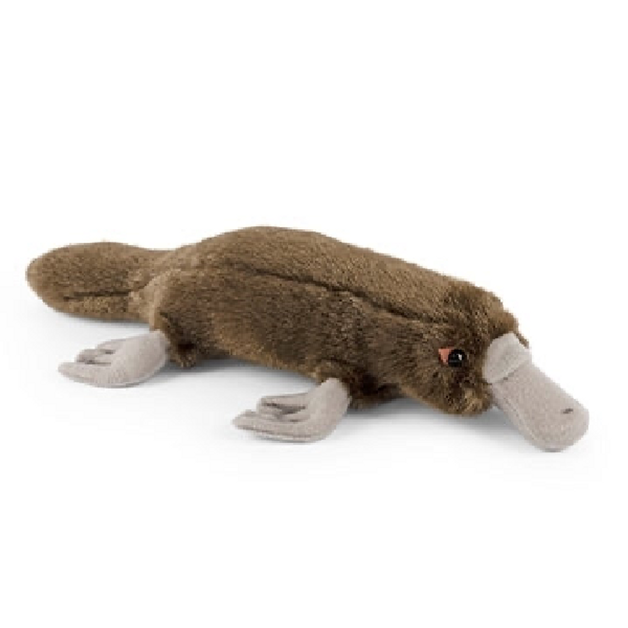 Duck Billed Platypus